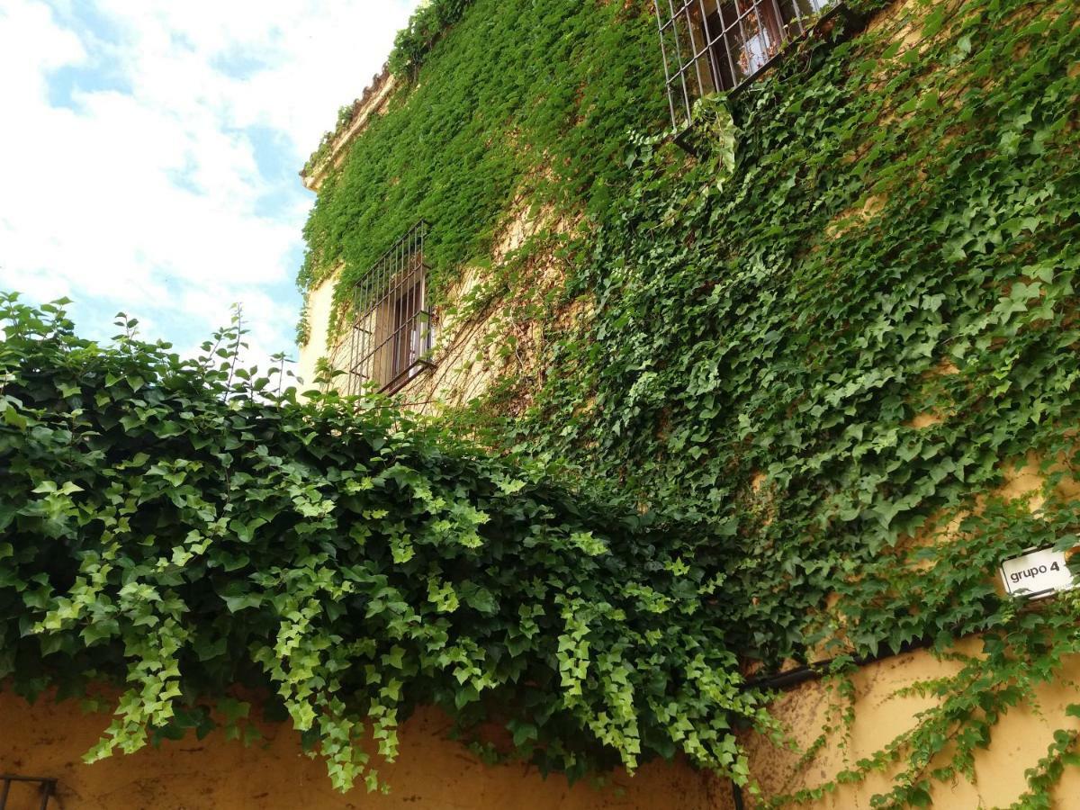 Apartamento Flamencos Con Garage 5 Pax *