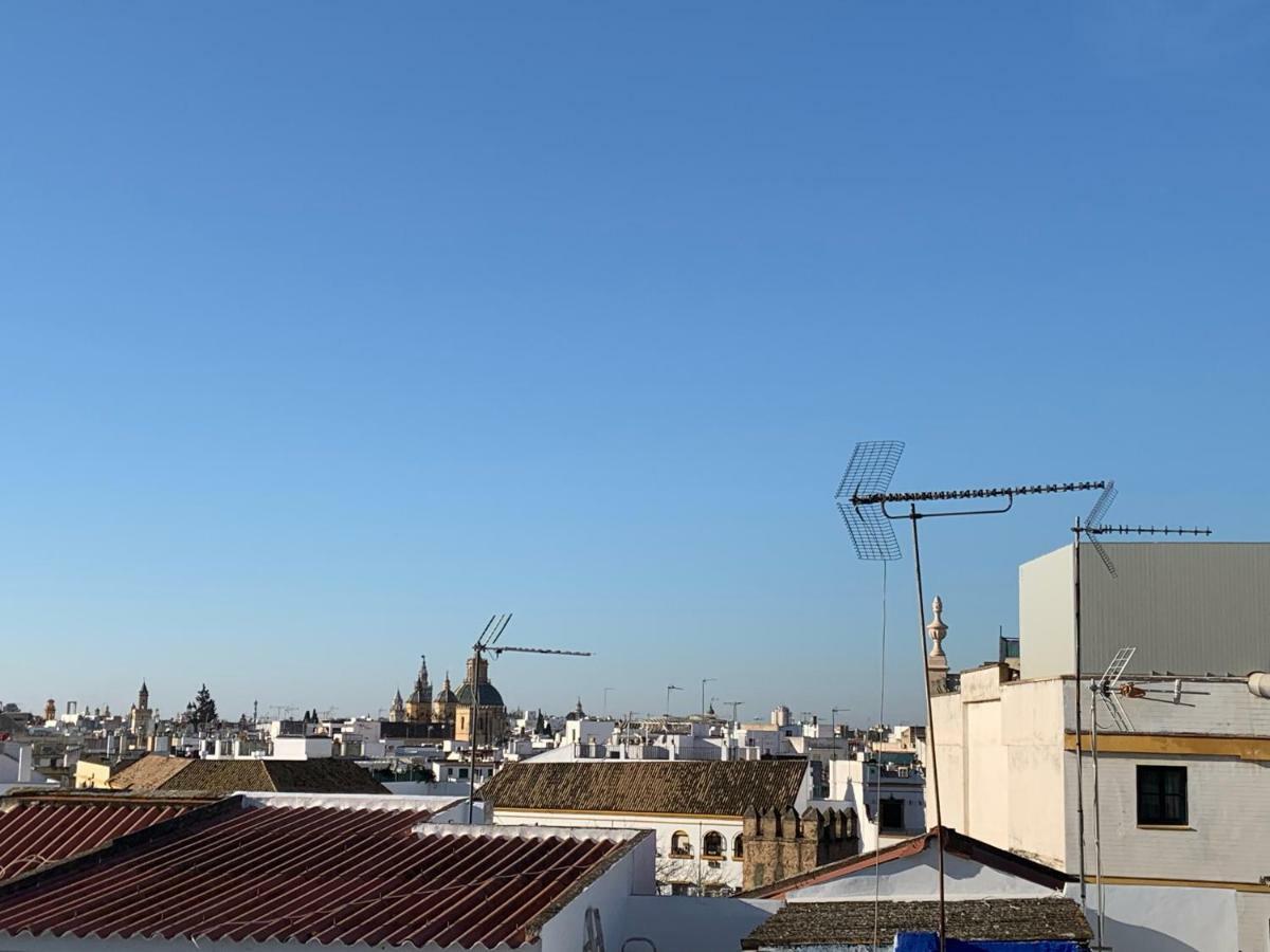Apartamento Apt Calle Froilan De La Serna *