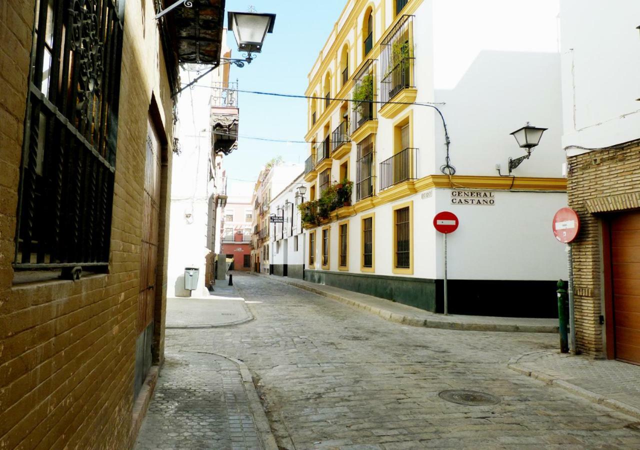 Rodo Arenal *