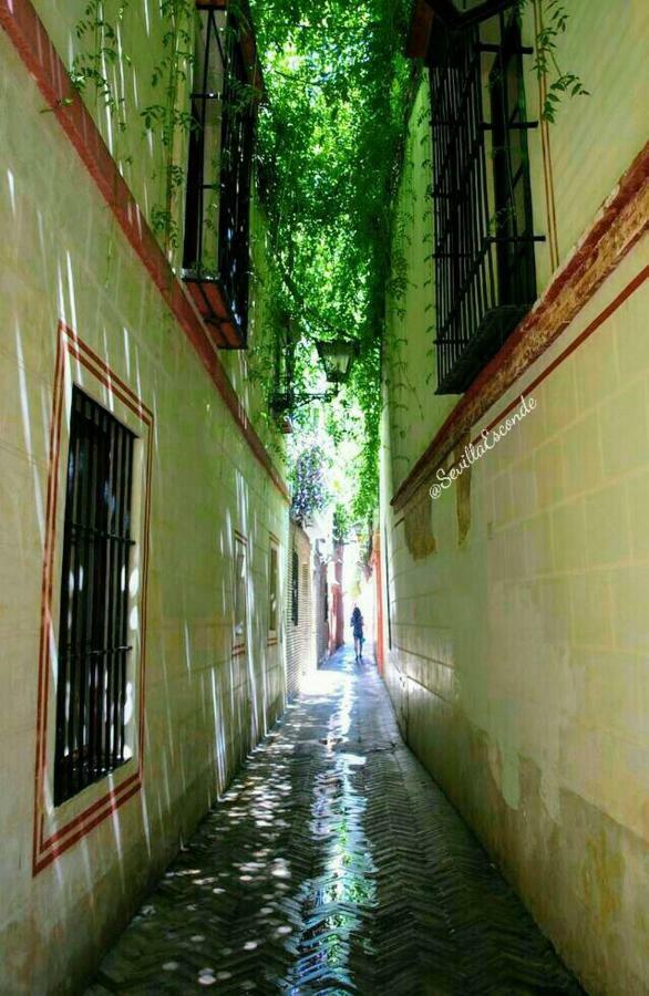 Сasa de vacaciones Casa Flores