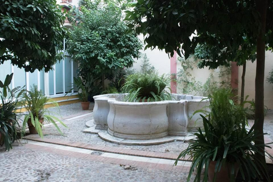 Apartment Santa Ana Donkey Seville