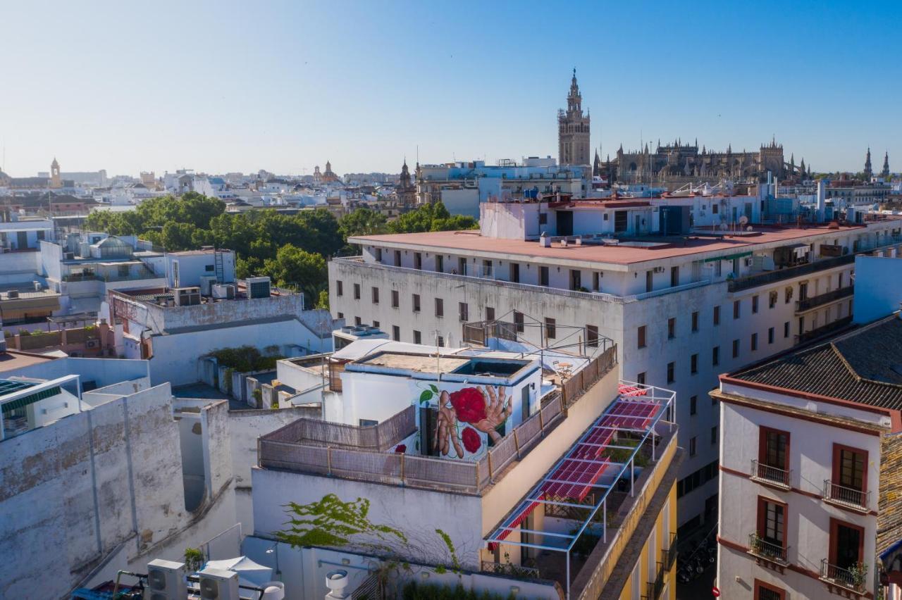 Black Swan Hostal Sevilla