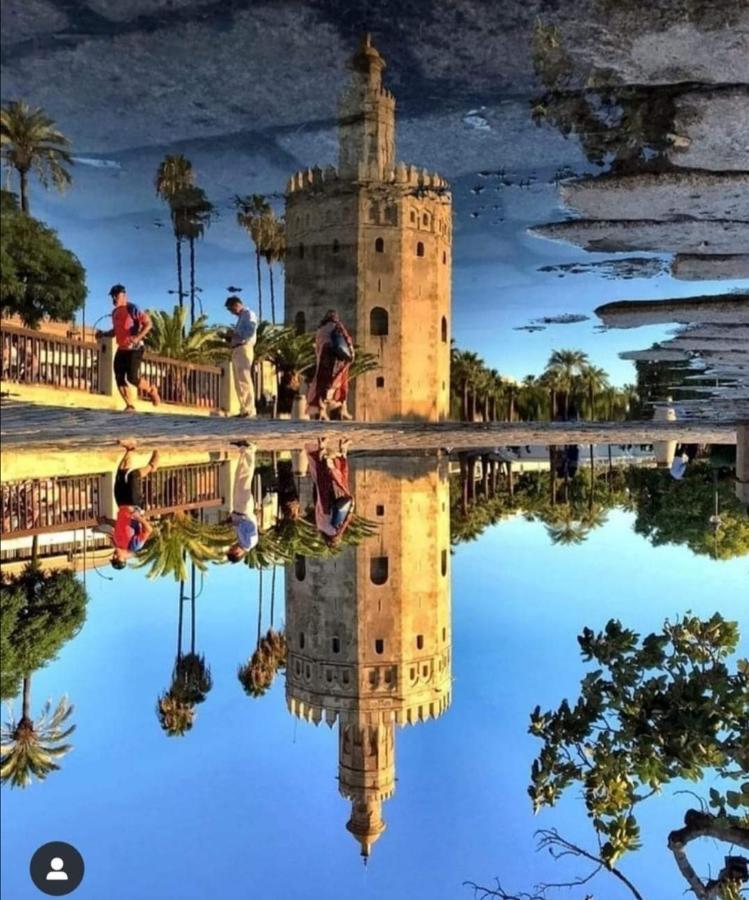 Antigua Casa Típica Sevillana Rehabilitada En Casco Histórico *
