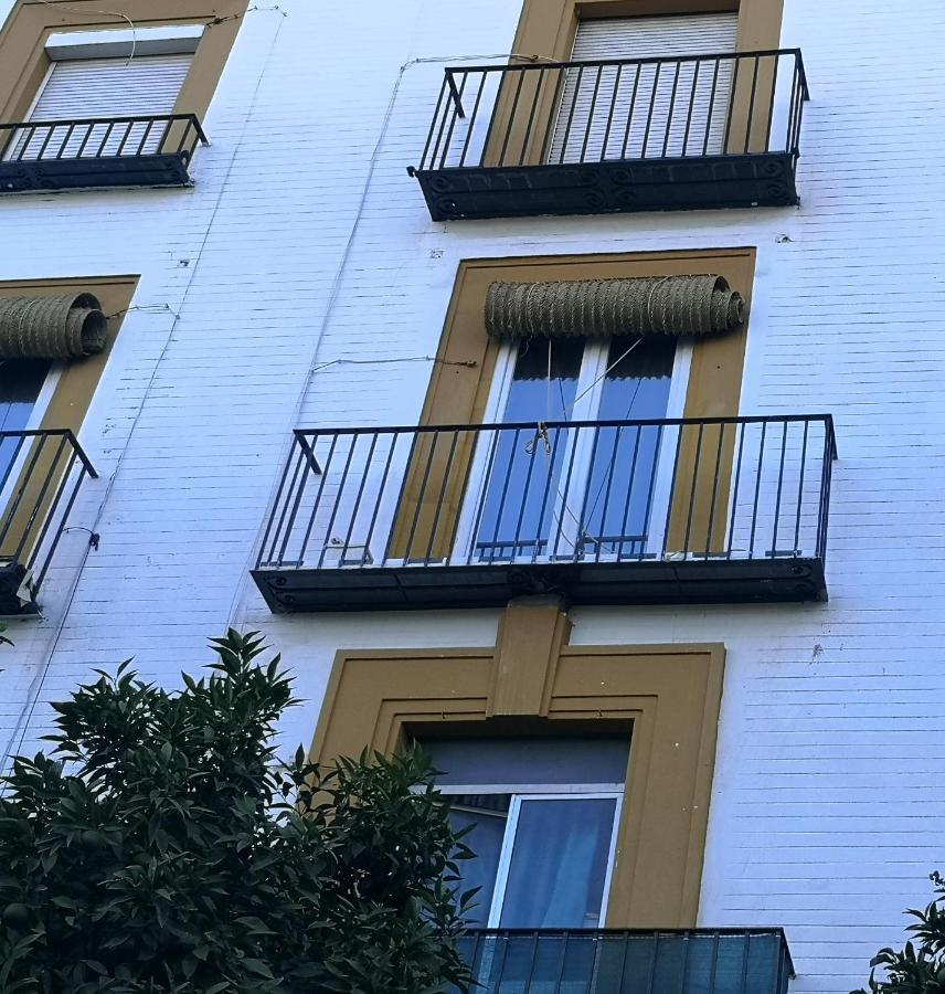 Betis Del Oro Seville