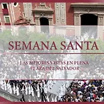 Alohamundi Salvador