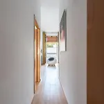 Pop Art, Apartamento Valvanera, pleno centro