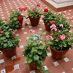 Apartamentos Las Cruces