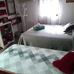 Apartamento Arbol De Vida - Cerca Estadio Cartuja