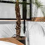 Pj terraza privada bañera exterior junto catedral