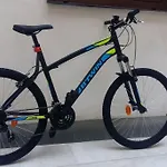 Bustos Tavera