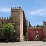 Premium Al Lado De La Giralda