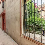 Avanti La Juderia, Vive Sevilla Con Los Cinco Sentidos