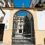 MAGNO Vidrio 36
