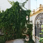 MAGNO Vidrio 36