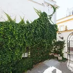 MAGNO Vidrio 36