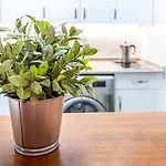 Marialuisa_Park@Home Vft/Se/03556