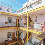 Juderia Center Premium Suites Free Parking