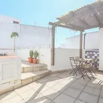 Alameda De Hercules - Piscina Privada