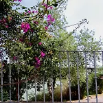 Monkeys Apartments Castilla Triana