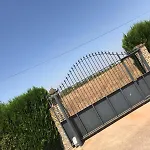 Rocio
