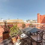 Ohliving Virgenes 7