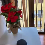 Apartamento en Luis Montoto, Nervión. Céntrico