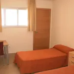 Albergue Inturjoven Sevilla