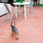 Pensión San Benito Abad