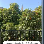 Apartamentos en la Plaza Doña Elvira, 7