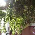 Apartamento Aires De Santa Cruz