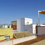 Coqueto Donkey