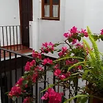 Plaza San Marcos Apartment