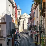 Alohamundi San Esteban