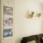 Sevilla Apartments Ruiz