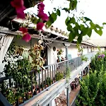 Un Oasis En El Corazon De Sevilla