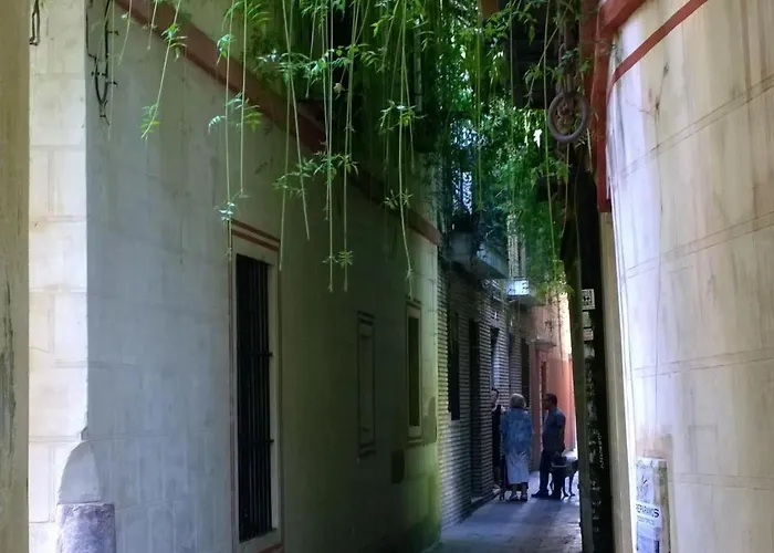 Calle Verde 9