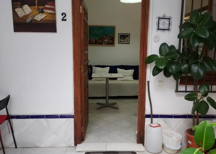 Patio Sevillano Flores