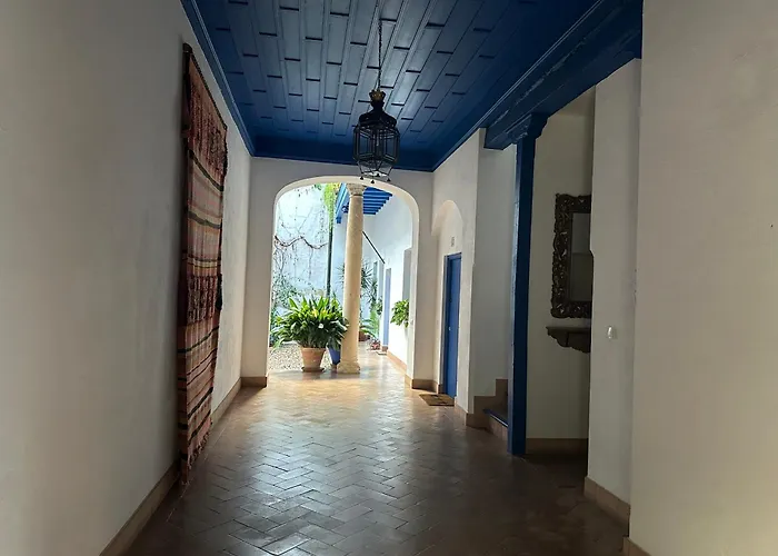 Vidrio 30-32