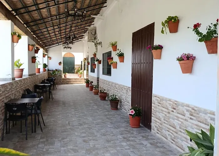 Casa Cortijo Olivar