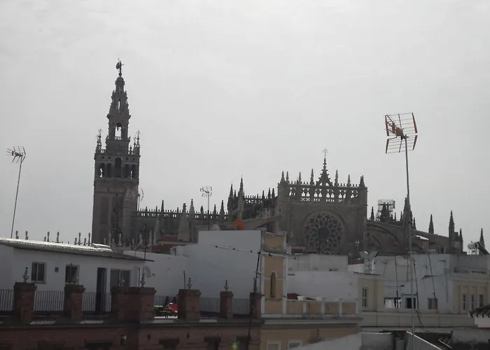 Terrazas De La Catedral Apartaments