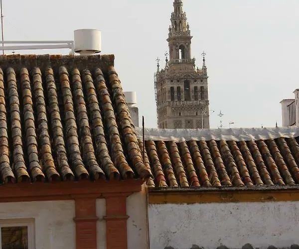 Apartamento San Isidoro, 5