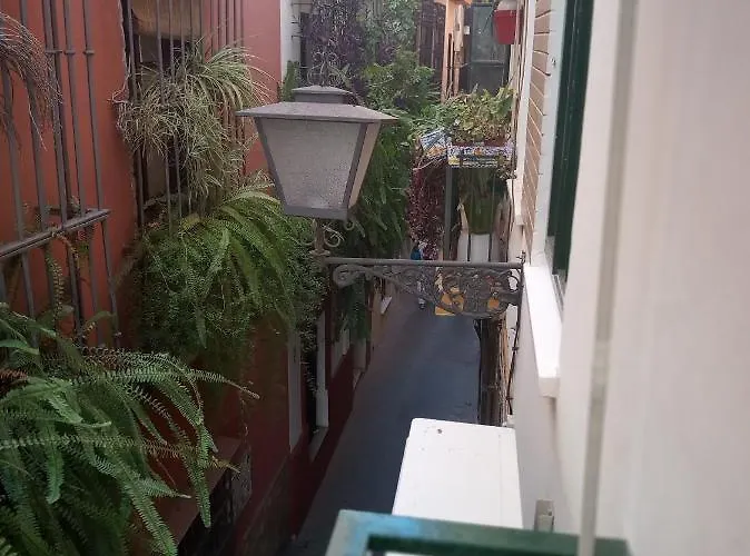Juderia Verde