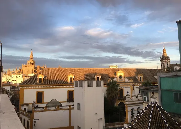 Dos De Mayo Beds