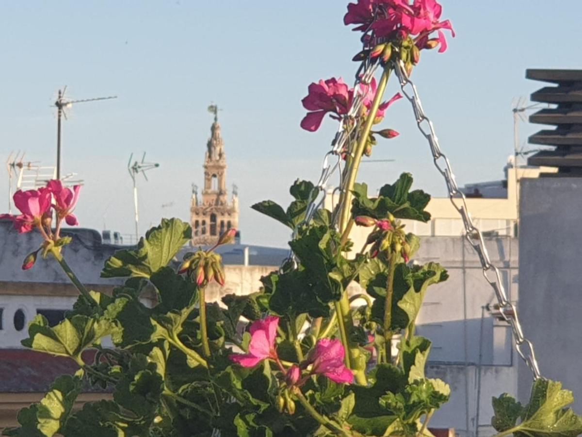 Apartamento Doña Lola Corner Sevilla