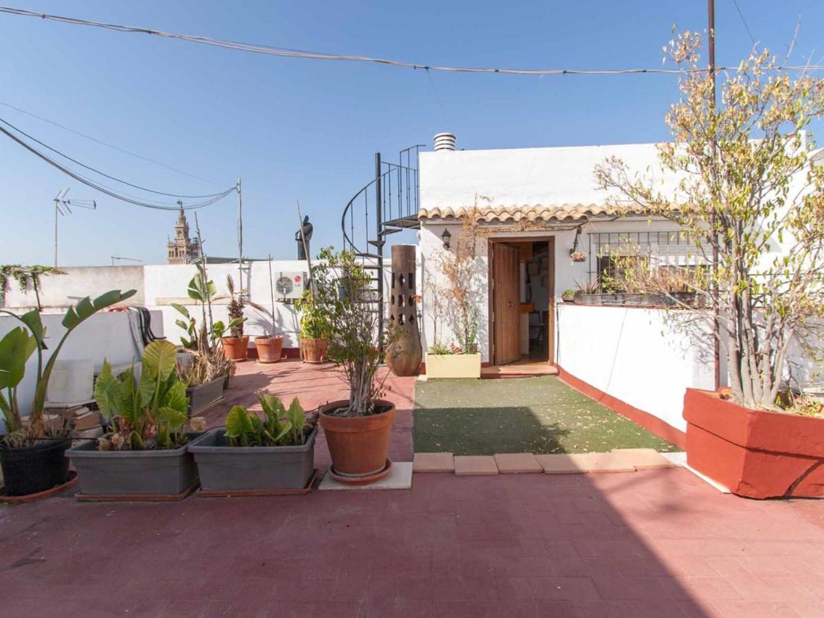 Apartamento Federico Rubio Sevilla