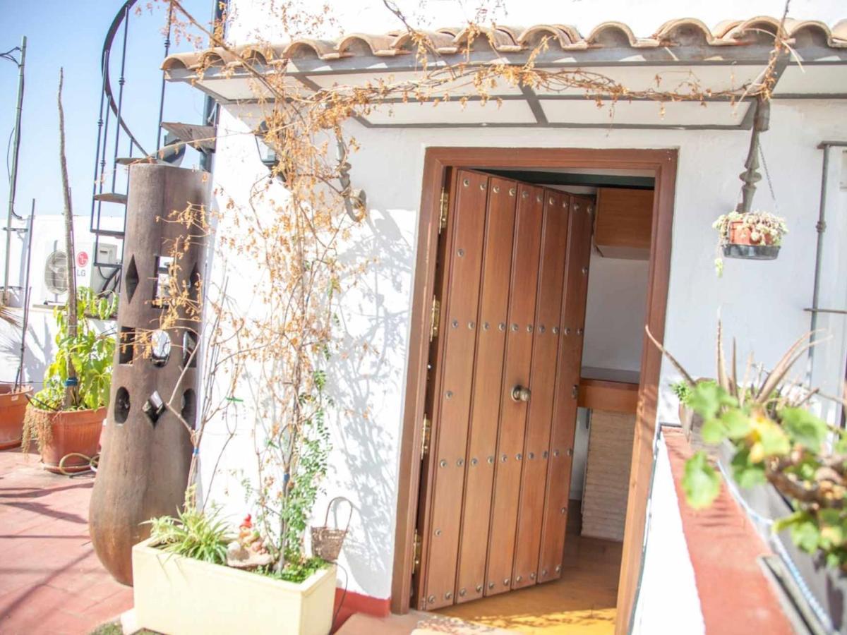 Apartamento Federico Rubio *
