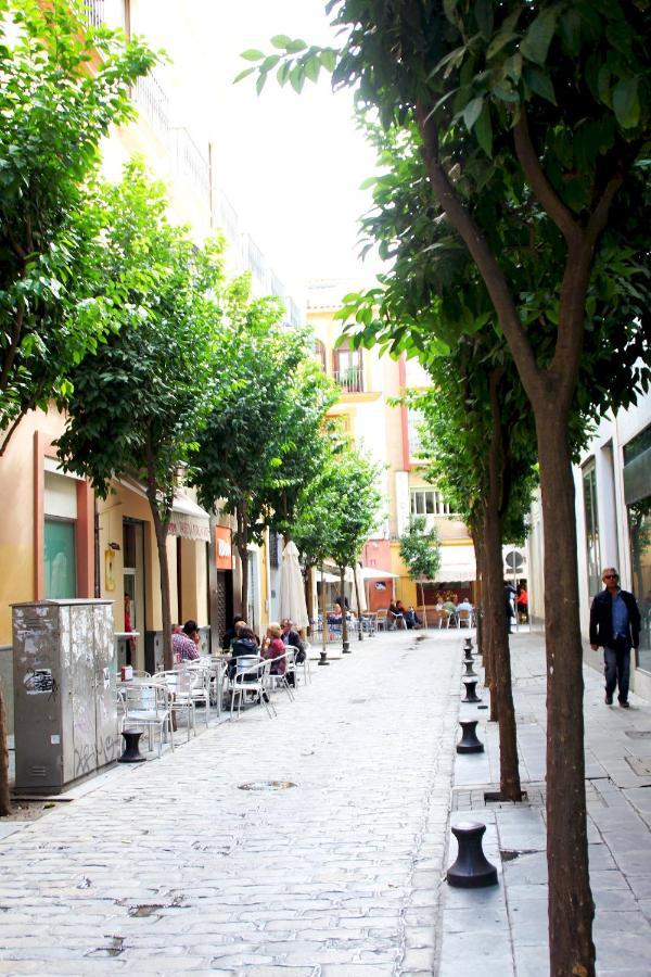 Apartment Plaza Nueva Terraza