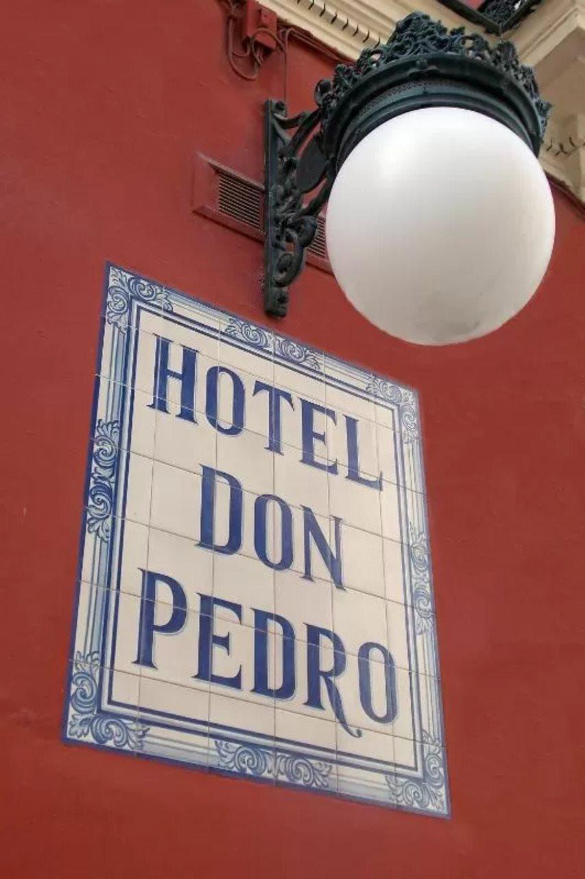 Casa Palacio Don Pedro Hotel Seville