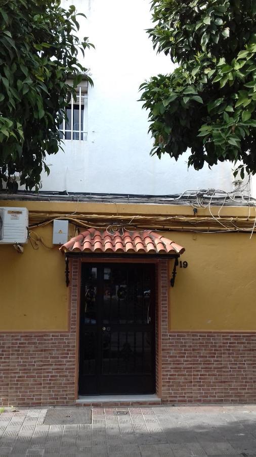 árbol De Vida Apartamento *