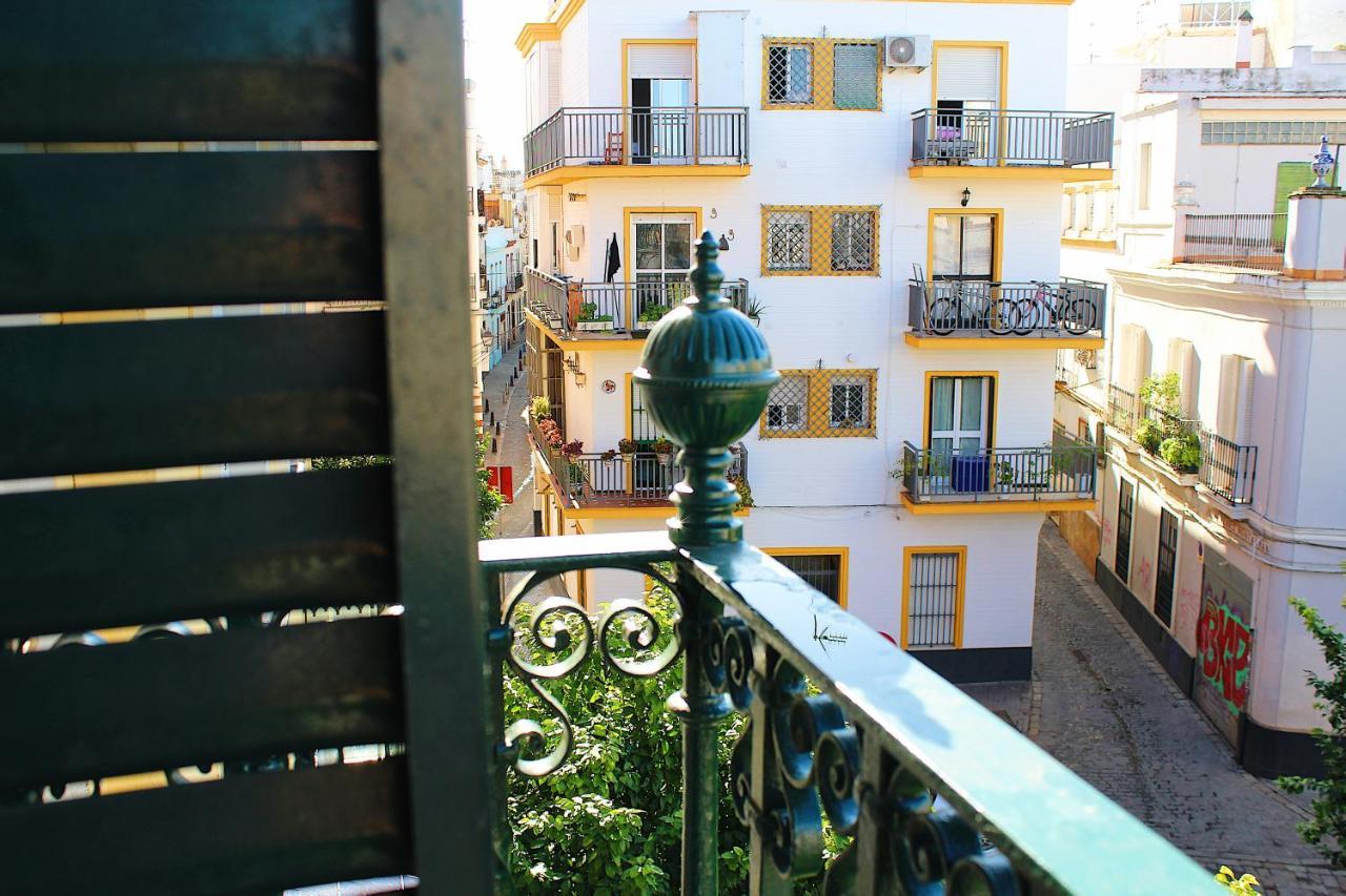 Wish La Mata De Apartamento *